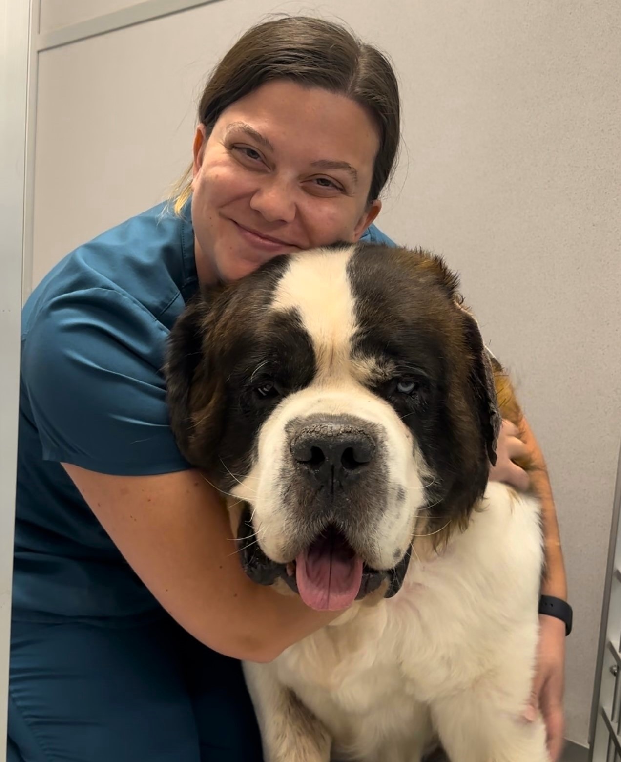 Veterinary Jobs in Gloversville