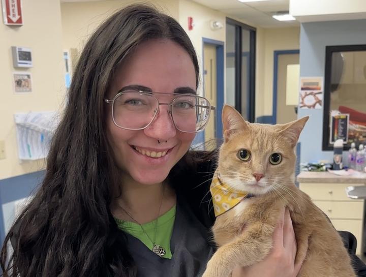 Preventive Care for Cats