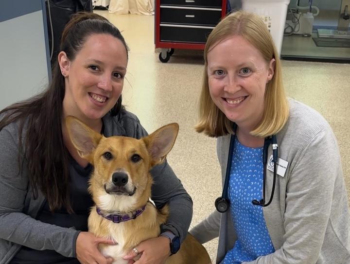 $city Vet Exams