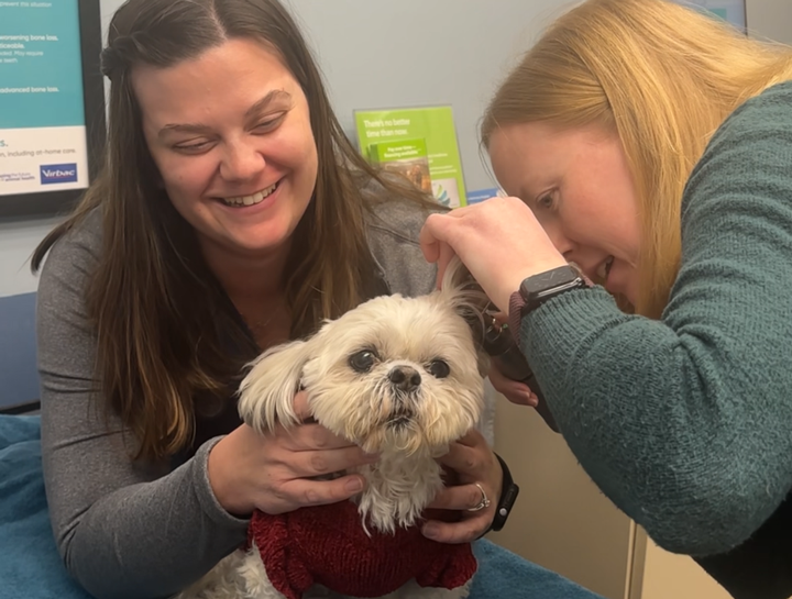 Preventive Care for Dogs