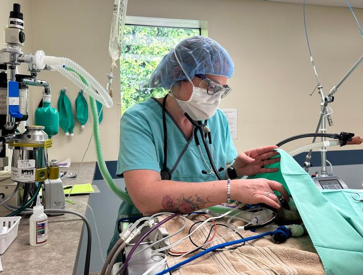 Advanced Anesthesia & Monitoring