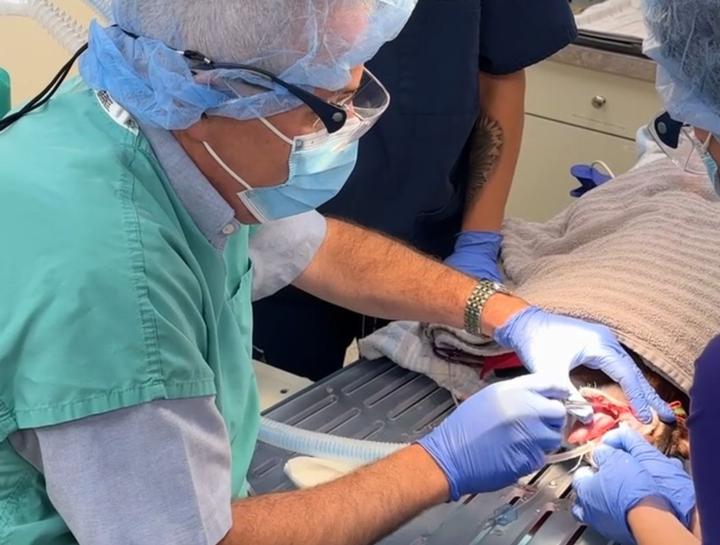 Dental Surgery
